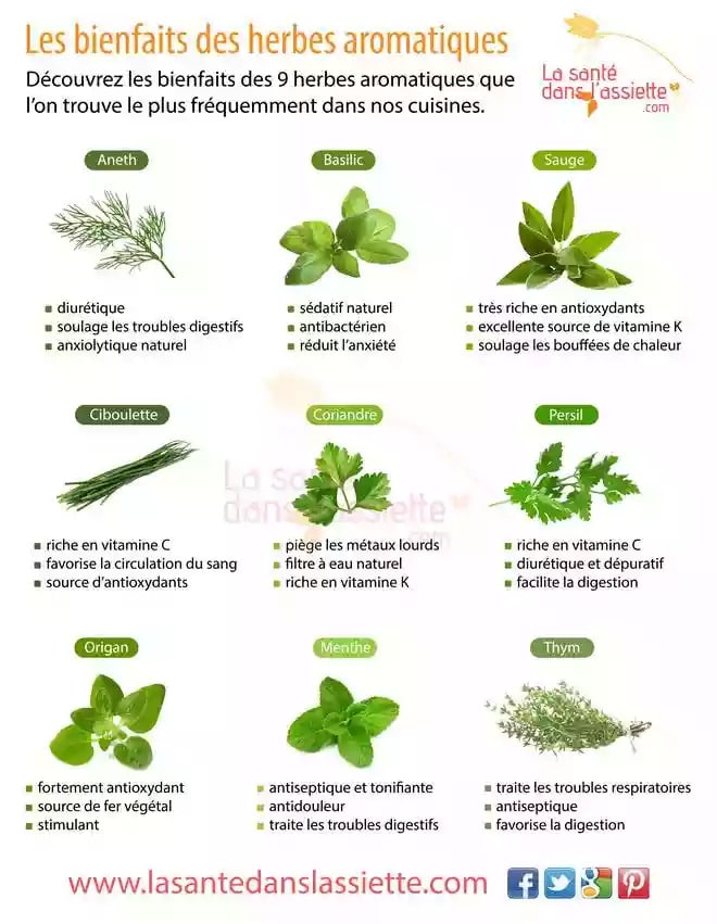 10 choses insolites à faire avec des herbes aromatiques